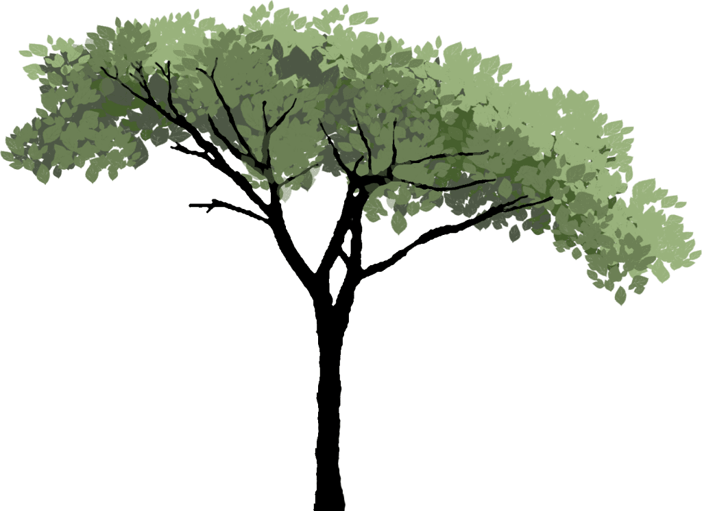 BigTree ground-effects