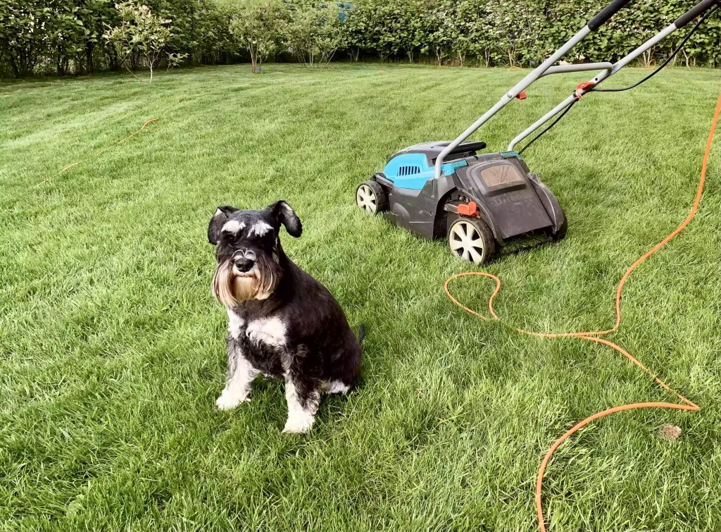 mowing-service-image-1