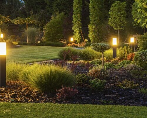 Modern Backyard Outdoor LED Lighting Systems landscape lighting